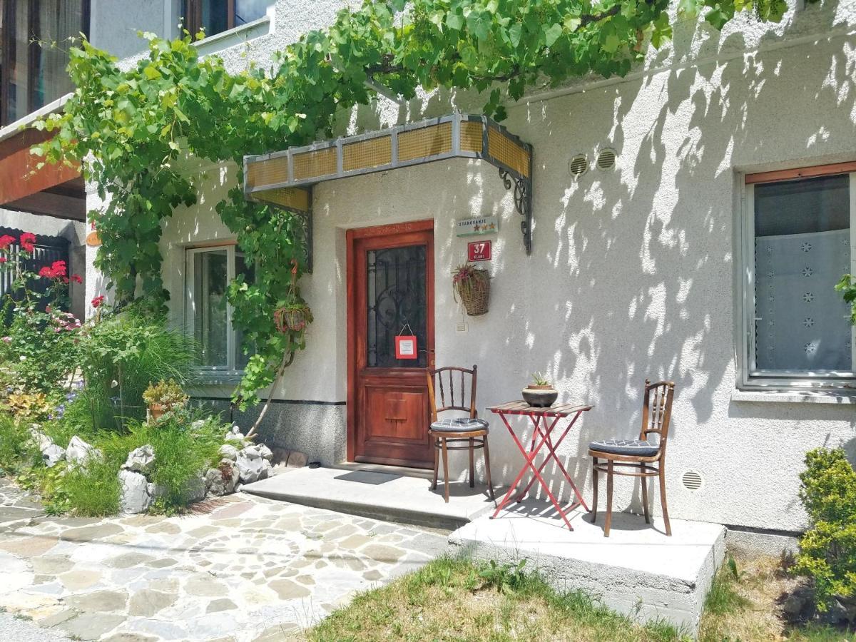 Apartma Raft, Bovec Zewnętrze zdjęcie